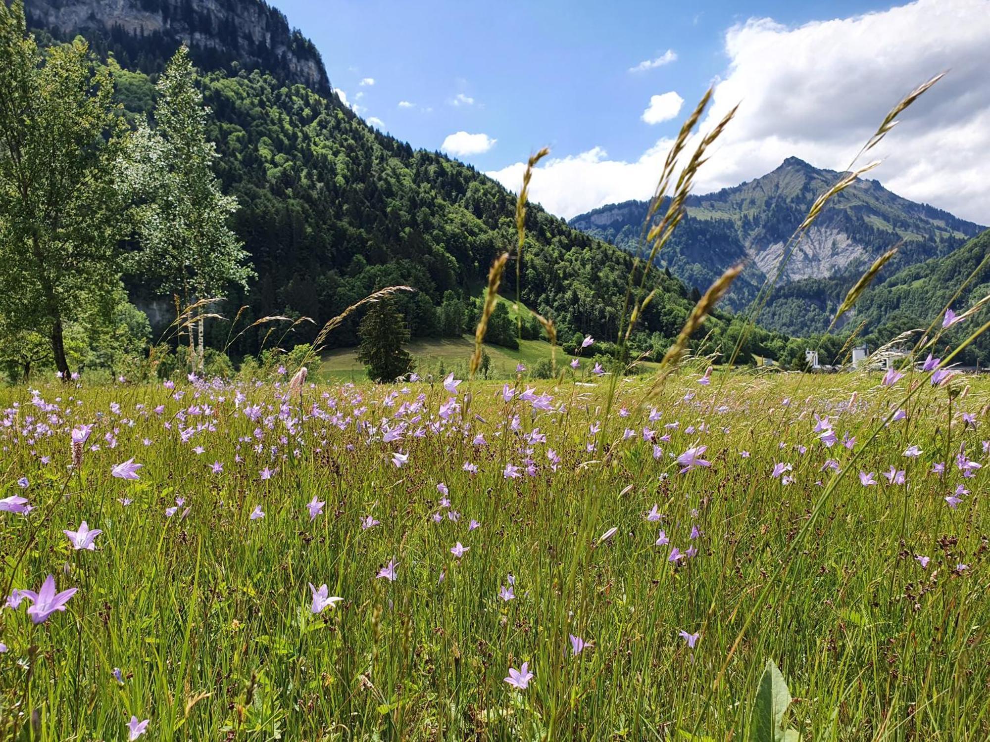 Gesundhotel Bad Reuthe Esterno foto